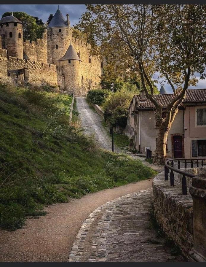 Maison Petite Cote Каркассонн Екстер'єр фото